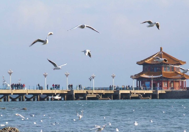 煙臺(tái)青島聯(lián)線：蓬萊閣、長(zhǎng)島、劉公島、青島市內(nèi)、嶗山純玩5日游